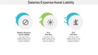 Salaries expense asset liability ppt powerpoint presentation gallery graphics template cpb