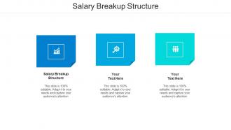 Salary breakup structure ppt powerpoint presentation icon slideshow cpb