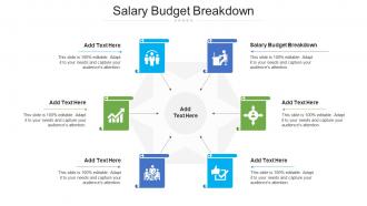 Salary Budget Breakdown Ppt Powerpoint Presentation Show Layout Ideas Cpb