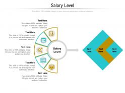 Salary level ppt powerpoint presentation file designs cpb