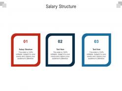 Salary structure ppt powerpoint presentation professional vector cpb