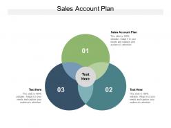 Sales account plan ppt powerpoint presentation inspiration background image cpb