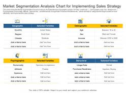 Sales action plan to boost top line revenue growth market segmentation analysis chart
