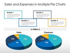 Sales and expenses in multiple pie charts