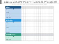 Sales and marketing plan ppt examples professional