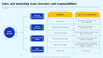 Sales And Marketing Team Structure And Responsibilities Streamlined Sales Plan Mkt Ss V