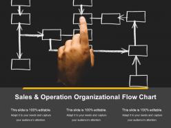 Sales and operation organizational flow chart