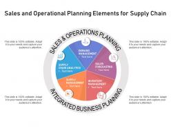Sales and operational planning elements for supply chain