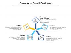 Sales app small business ppt powerpoint presentation ideas brochure cpb