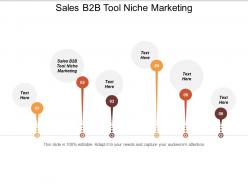 Sales b2b tool niche marketing ppt powerpoint presentation layouts guide cpb