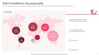 Sales Breakdown By Geography Beauty And Personal Care Company Profile