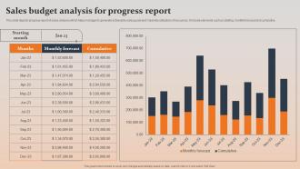 Sales Budget Analysis For Progress Report