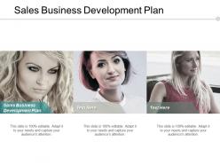 Sales business development plan ppt powerpoint presentation pictures brochure cpb