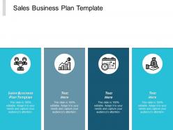 Sales business plan template ppt powerpoint presentation infographic template background images cpb