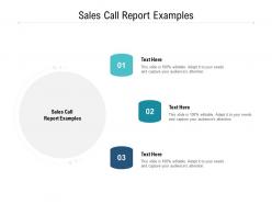 Sales call report examples ppt powerpoint presentation icon show cpb