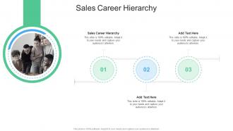 Sales Career Hierarchy In Powerpoint And Google Slides Cpb