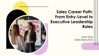 Sales Career Path From Entry Level To Executive Leadership Roles PPT Presentation AT
