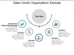 Sales centric organizations example ppt powerpoint presentation model design templates cpb