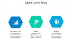 Sales channel focus ppt powerpoint presentation icon model cpb