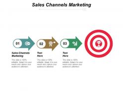 Sales channels marketing ppt slides samples cpb