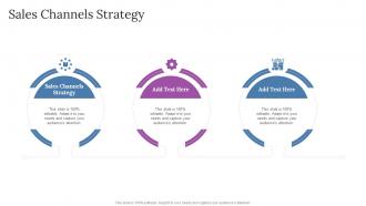 Sales Channels Strategy In Powerpoint And Google Slides Cpb