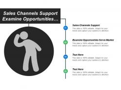 Sales channels support examine opportunities serve market value documents