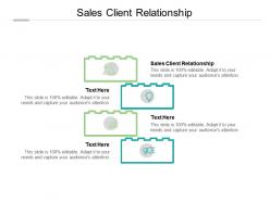Sales client relationship ppt powerpoint presentation professional cpb