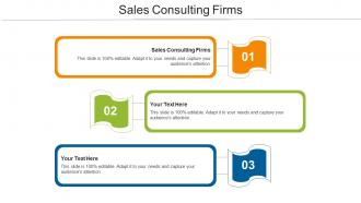 Sales Consulting Firms Ppt Powerpoint Presentation Show Elements Cpb