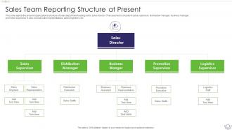 Sales Content Management Playbook Sales Team Reporting Structure At Present