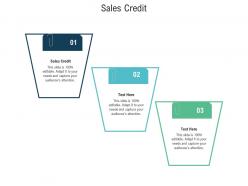 Sales credit ppt powerpoint presentation model icons cpb