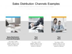 Sales distribution channels examples ppt powerpoint presentation summary files cpb