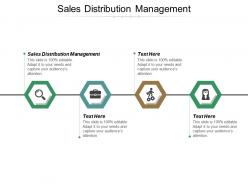 Sales distribution management ppt powerpoint presentation file example topics cpb