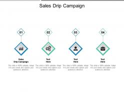 Sales drip campaign ppt powerpoint presentation file outline cpb