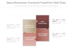 Sales effectiveness framework powerpoint slide rules