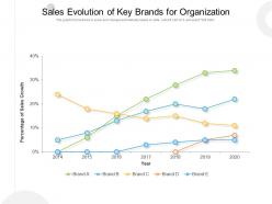 Sales evolution of key brands for organization