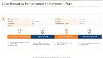 Sales Executive Performance Improvement Plan
