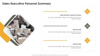 Sales Executive Personal Summary In Powerpoint And Google Slides Cpb
