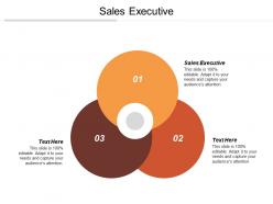 Sales executive ppt powerpoint presentation gallery sample cpb