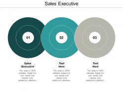 Sales executive ppt powerpoint presentation infographic template microsoft cpb