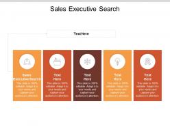 Sales executive search ppt powerpoint presentation gallery graphics pictures cpb