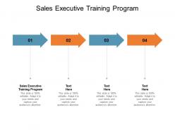 Sales executive training program ppt powerpoint presentation show background cpb