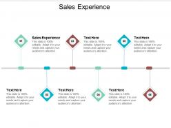 Sales experience ppt powerpoint presentation summary mockup cpb