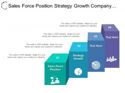 Sales Force Position Strategy Growth Company Mission External Analysis