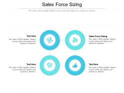 Sales force sizing ppt powerpoint presentation ideas graphics template cpb