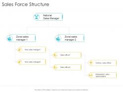 Sales force structure startup company strategy ppt powerpoint presentation rules