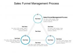 Sales funnel management process ppt powerpoint presentation file graphics cpb