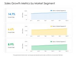 Sales Growth Metrics By Market Segment