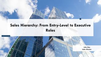 Sales Hierarchy From Entry Level To Executive Roles PPT Presentation AT