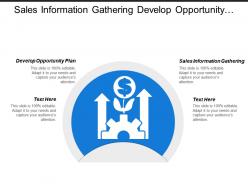 Sales Information Gathering Develop Opportunity Plan Installation Training
