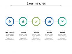 Sales initiatives ppt powerpoint presentation professional graphics example cpb